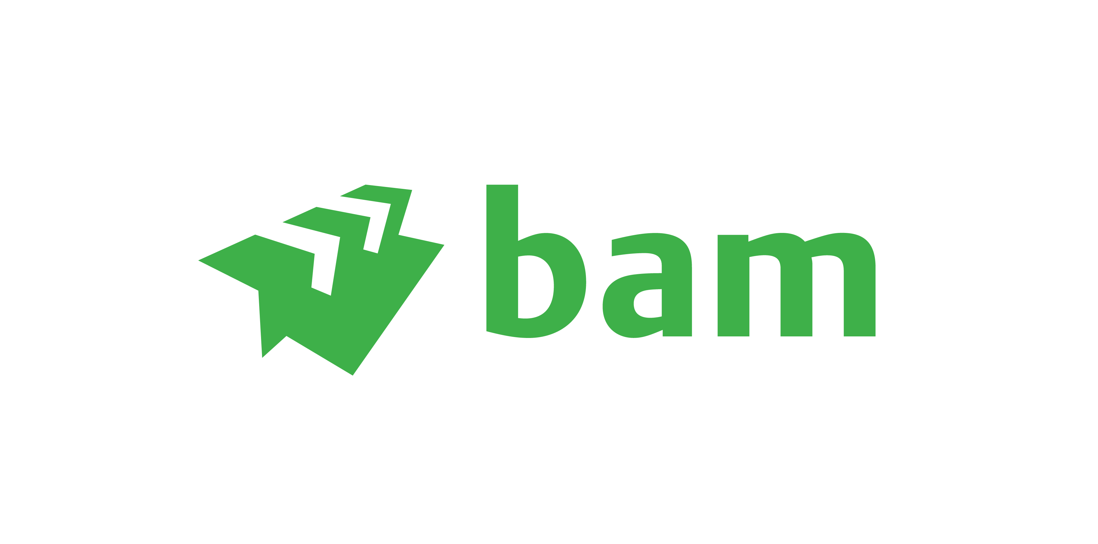 BAM Logo Green Web Version Png