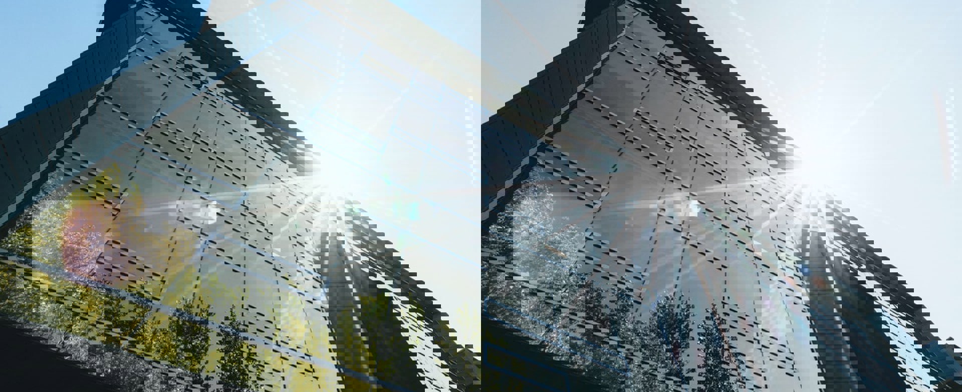 Pexels Scott Webb 305833