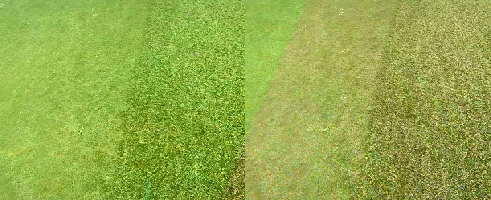 Vebego Groen Leasure Sportveldbeheer (2)