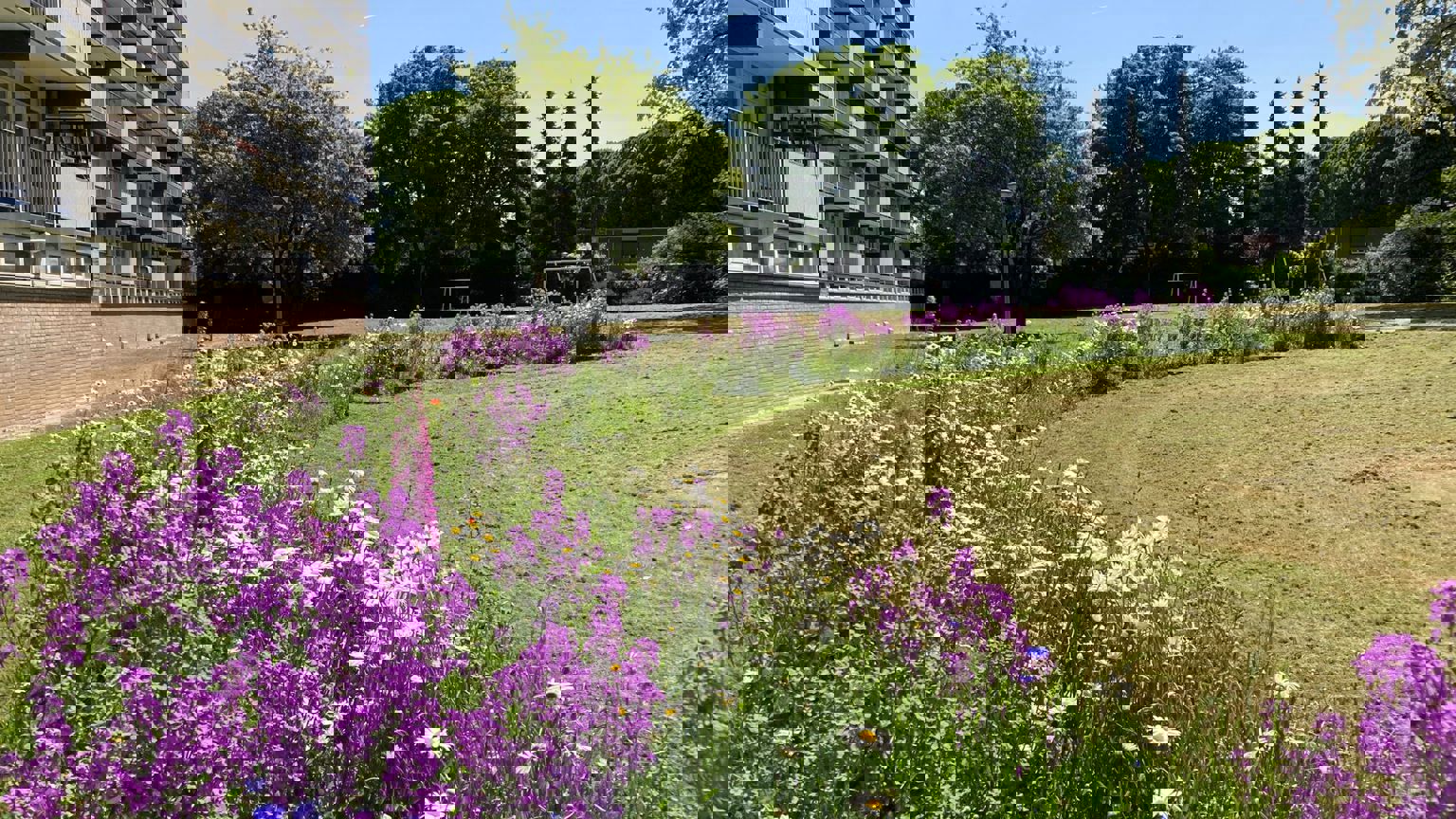 Vebego Groen Wonen Woningcorporaties Biodiversiteit Zowonen