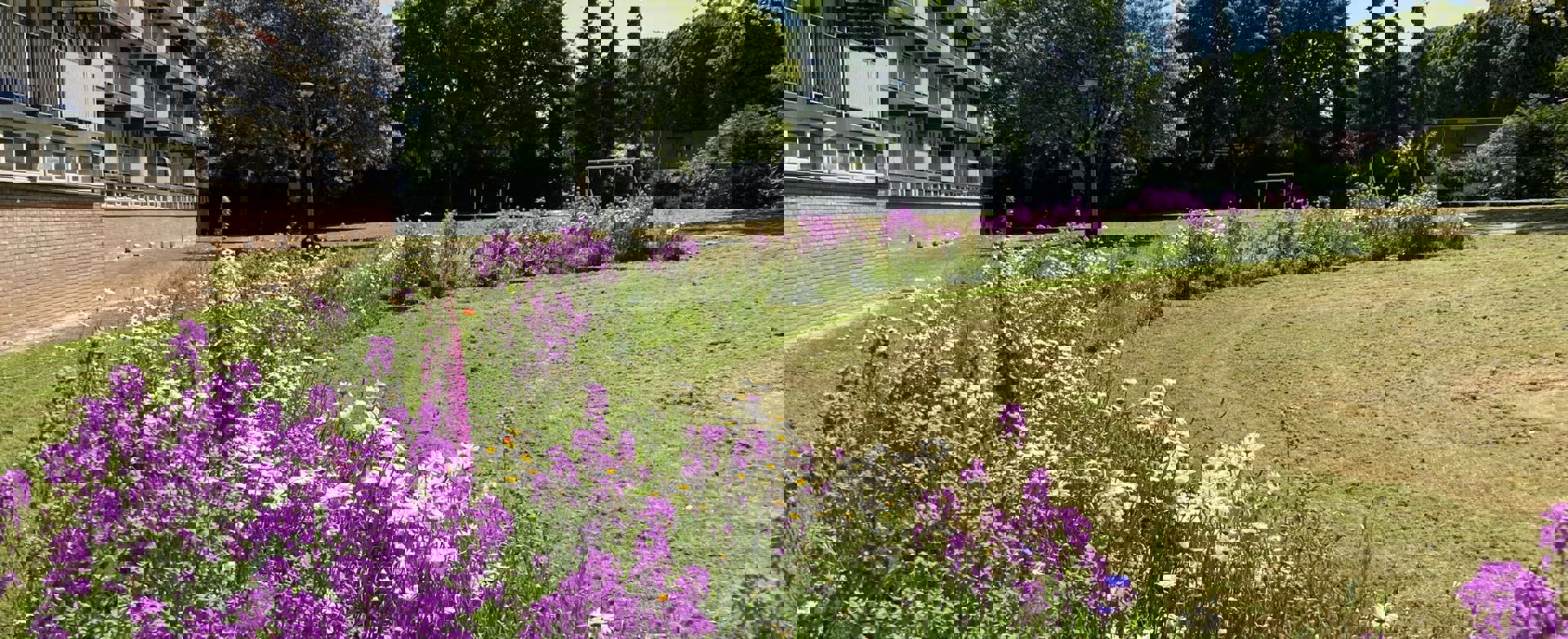 Vebego Groen Wonen Woningcorporaties Biodiversiteit Zowonen