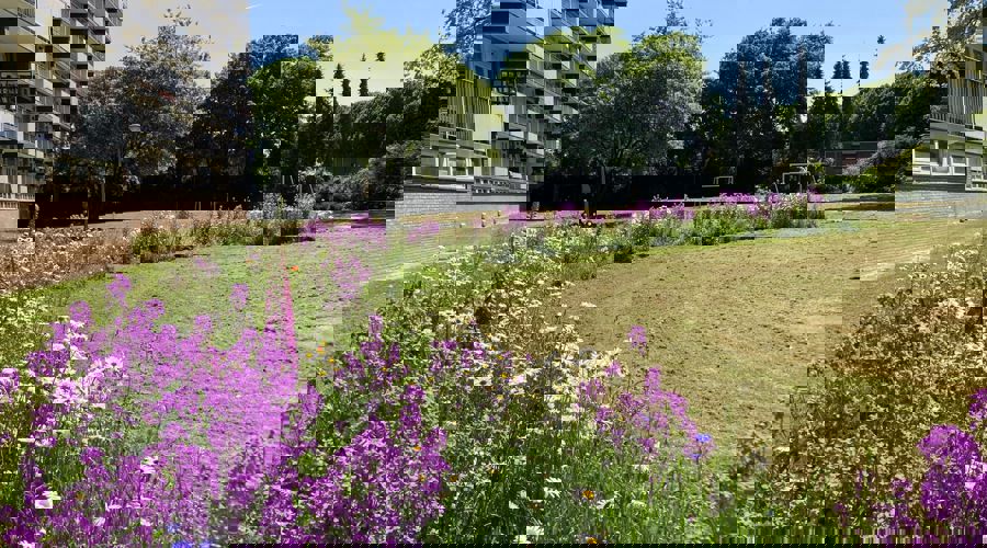 Vebego Groen Wonen Woningcorporaties Biodiversiteit Zowonen