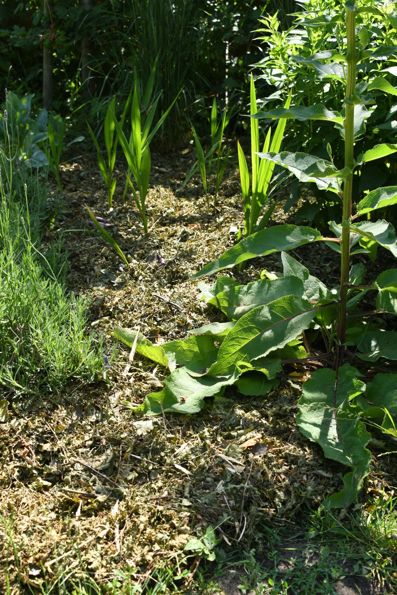 Vebego Groen Groenaanleg Particulier Circulariteit5