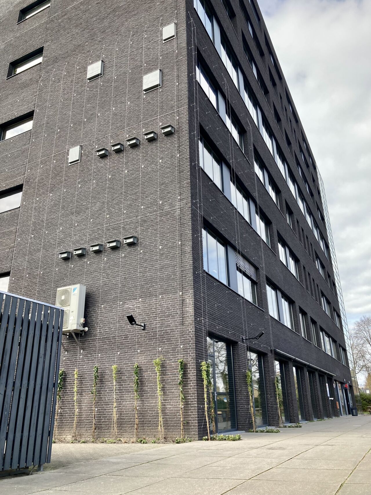 Vebego Groen Groene Gevel Summacollege 1