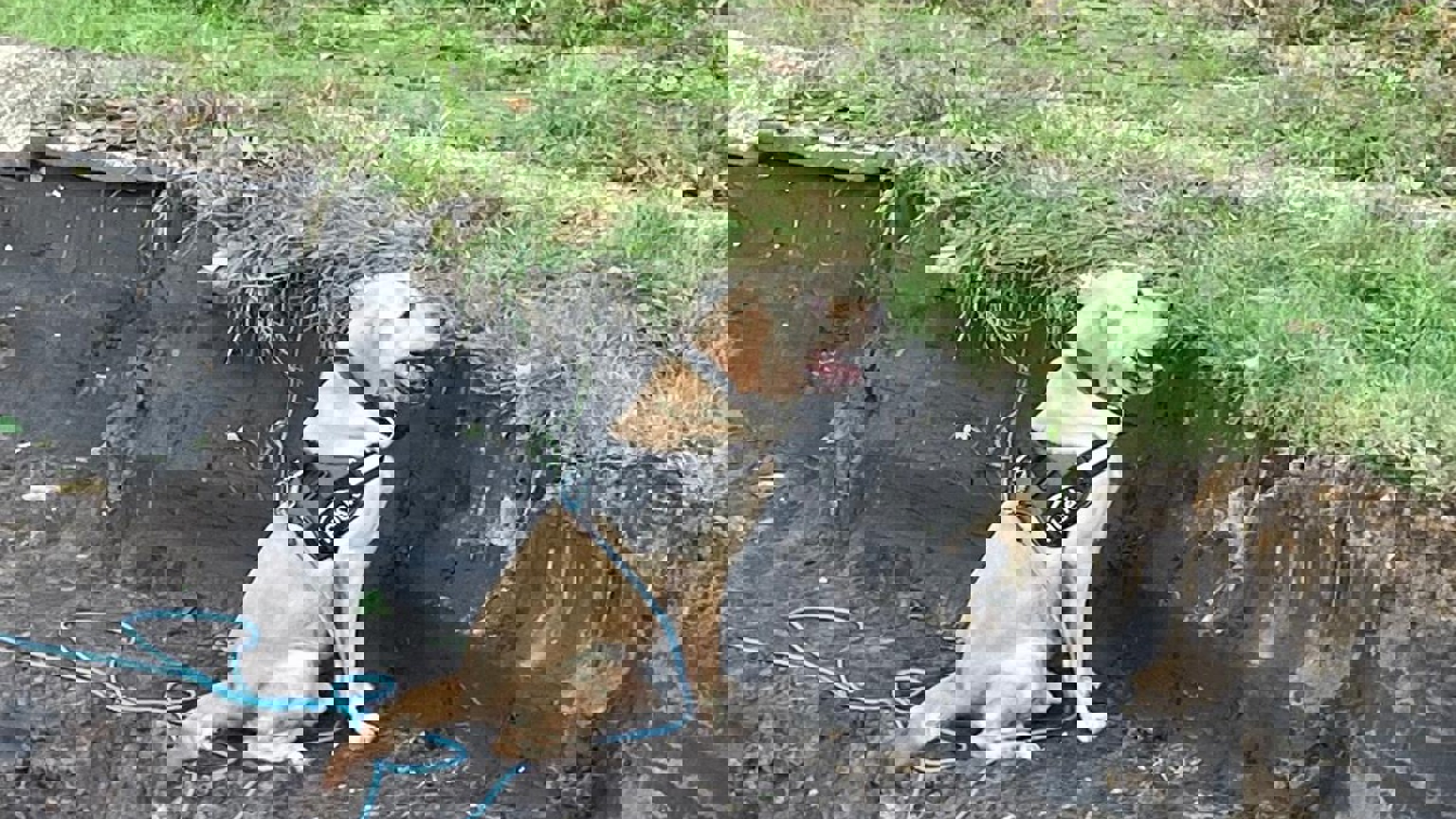 C21e595b 3034 416A 909E 7606F223d521