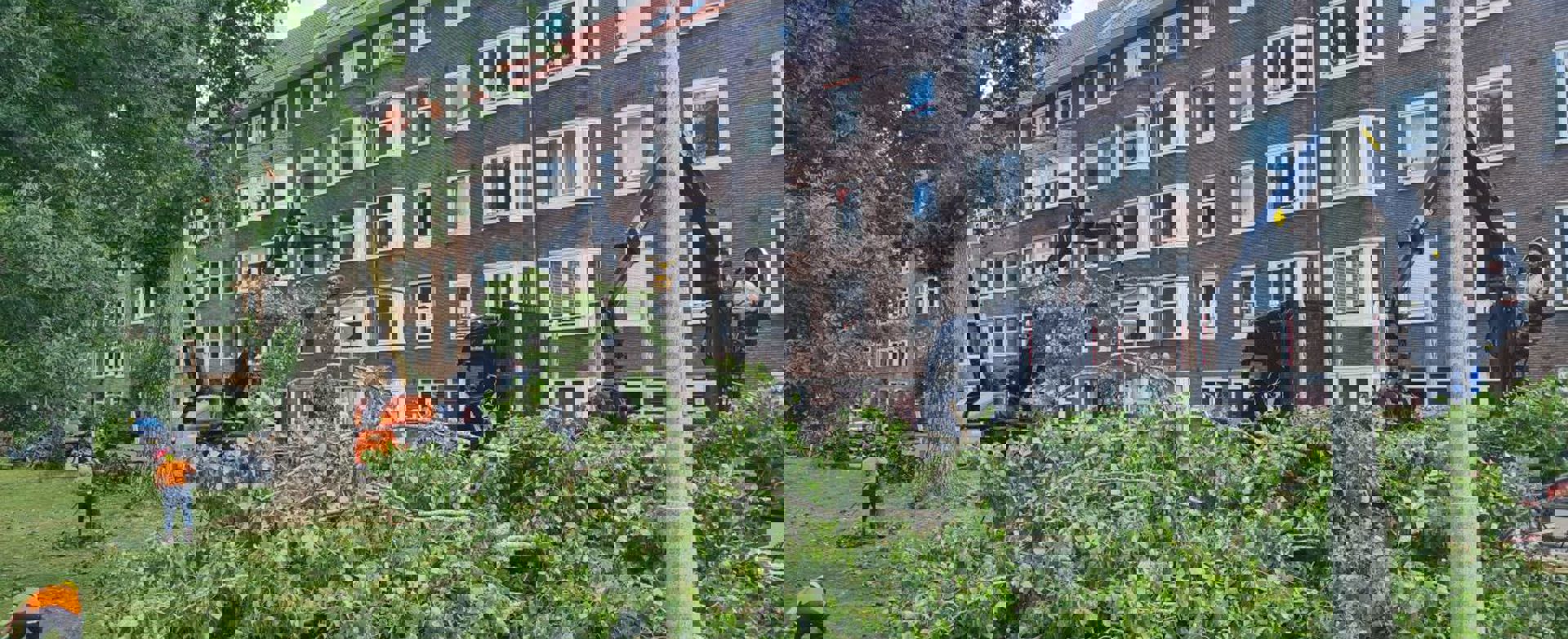 Breuksnoei Amsterdam