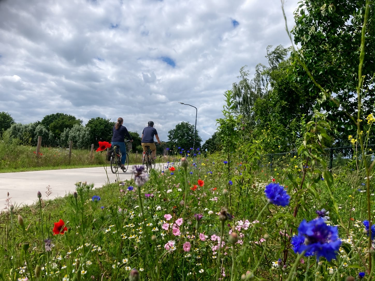 VGR Fietspad Silvolde Oude IJsselstreek (6).JPG