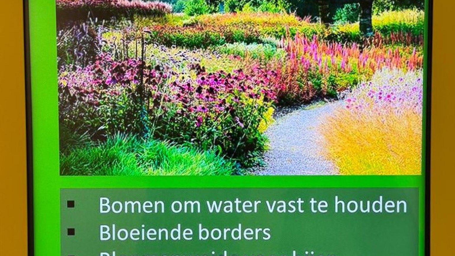 Vebego Groen Zowonen Binnentuin 1