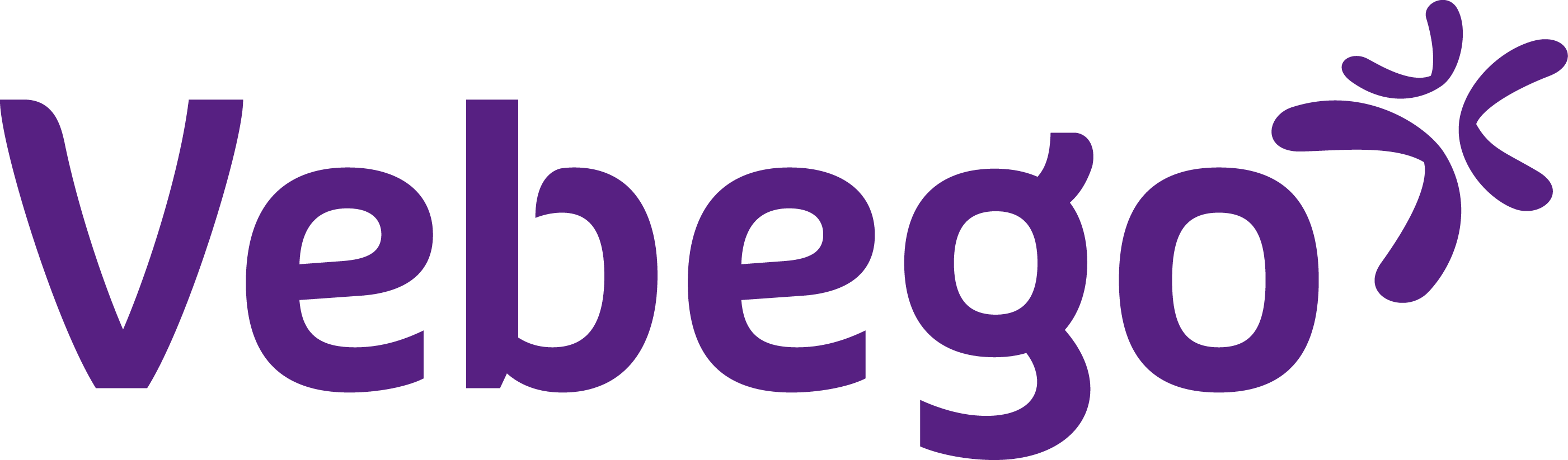 Vebego Logo Groot PNG