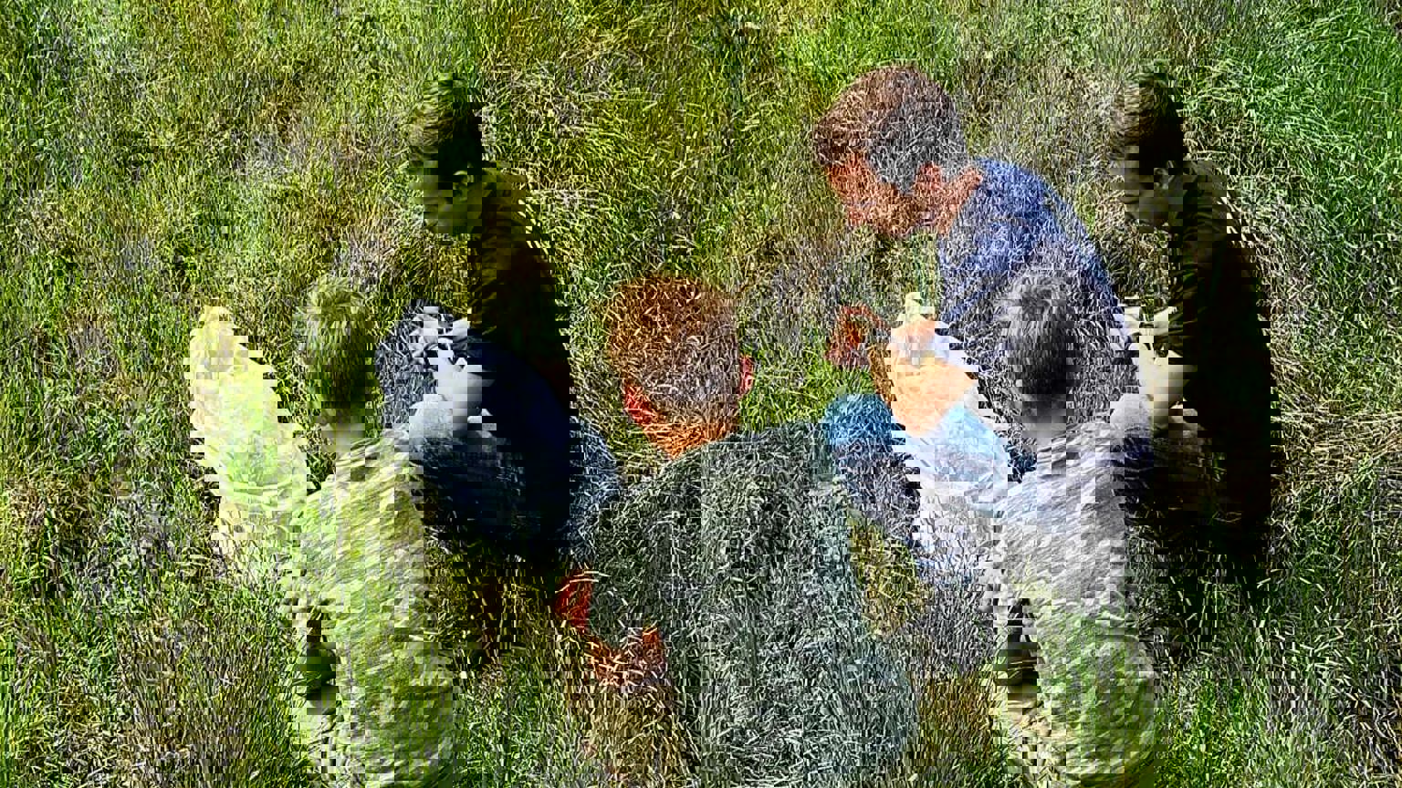IMG 20250505 WA0020