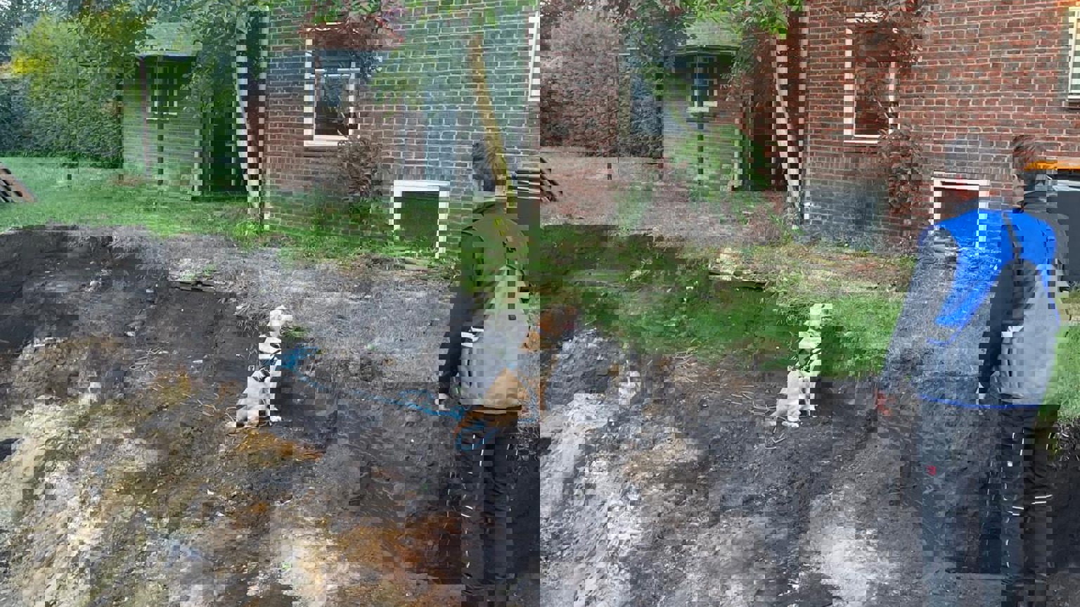 13E7aae7 4C76 4C10 B949 40E9a247df10