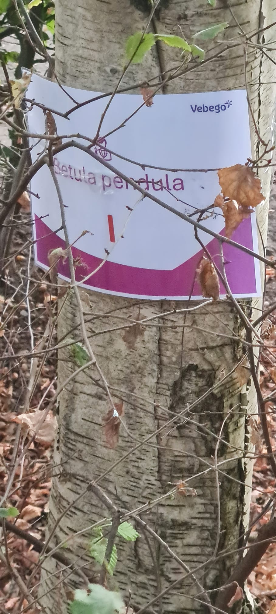 Whatsapp Image 2025 09 24 At 10.30.06 (3)