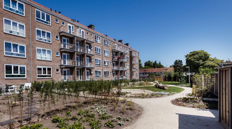 Maanstraat Enschede Website