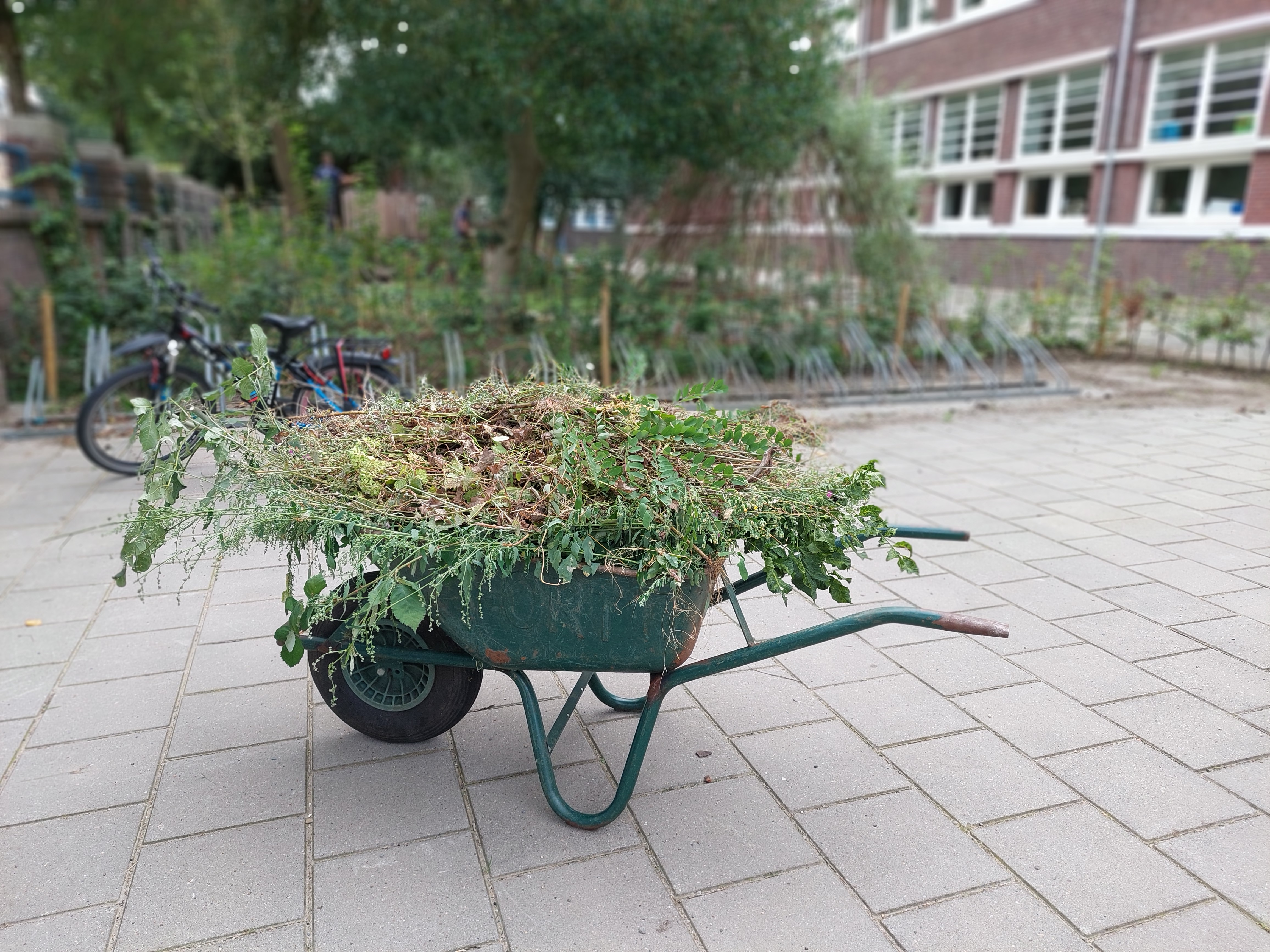 Vebego Groen Groene Speelpleinen Het Mozaiek Zwolle (2)