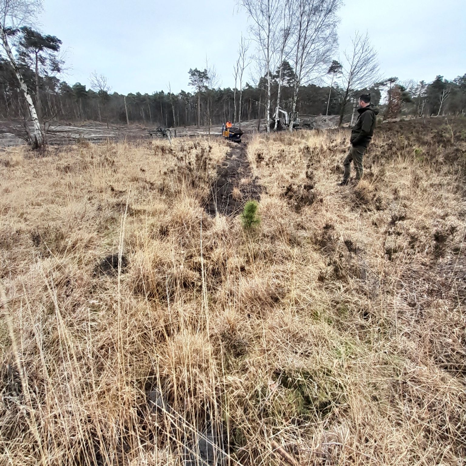 Vebego Groen Natuurmonumenten Brunsummerheide 2