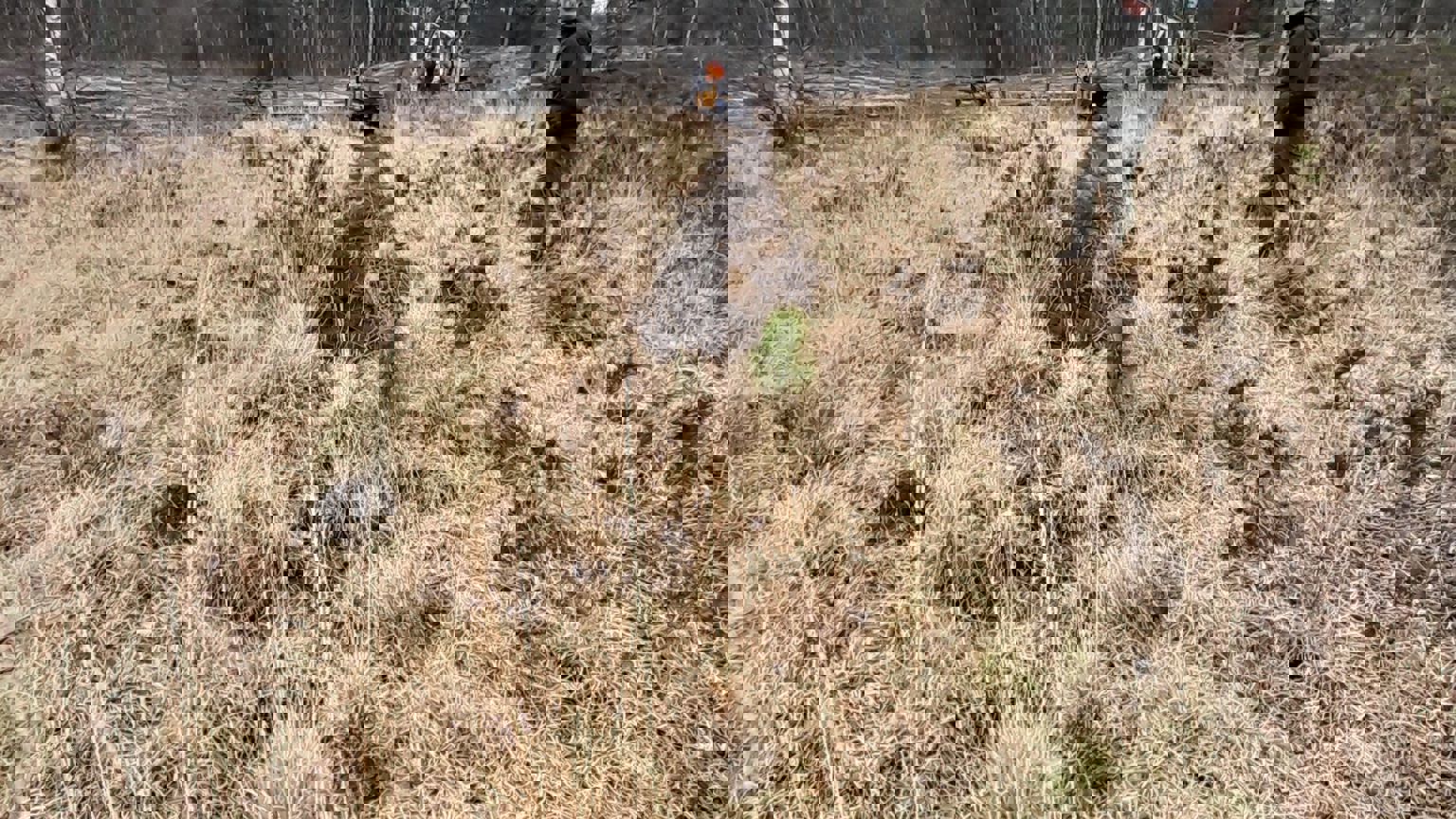 Vebego Groen Natuurmonumenten Brunsummerheide 2