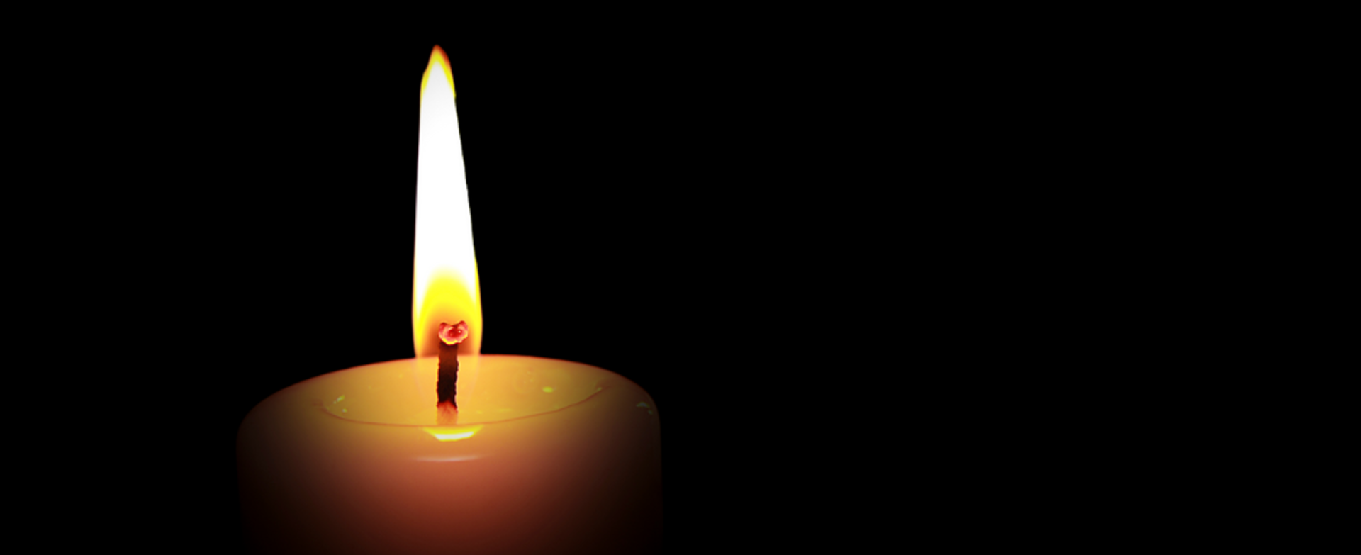 In Memoriam (3)