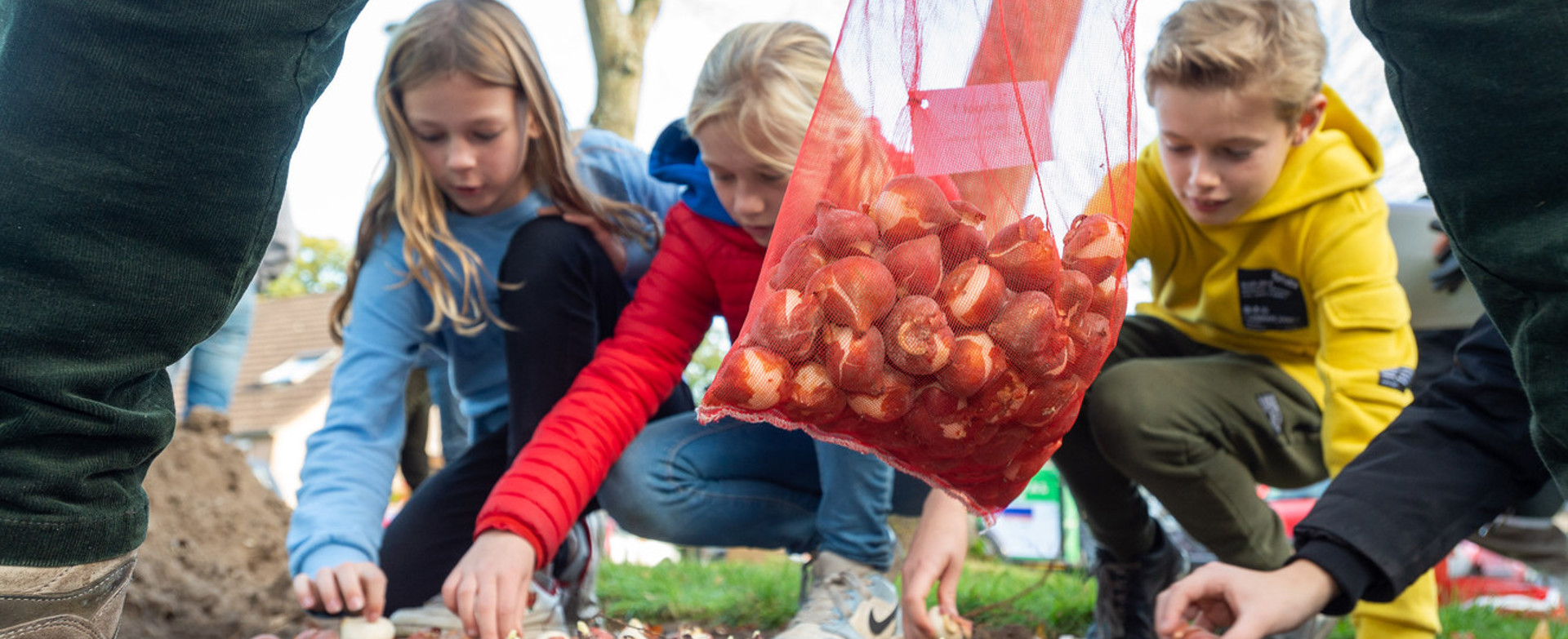 Vebego Groen Bloembollen in Epe voor meer biodiversiteit