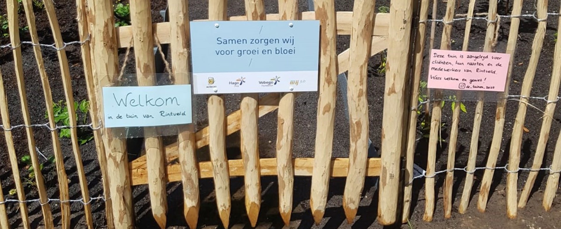 Moestuin1