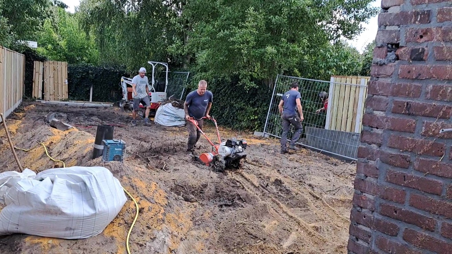 Still Project Sachalinse Duizendknoop Achtertuin