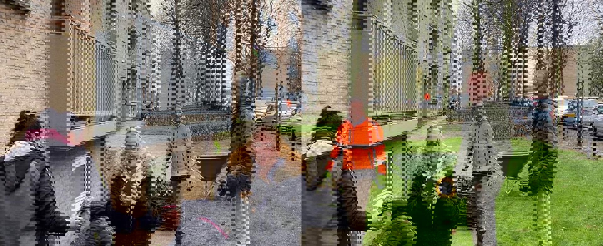 vebego-groen-woningcorporatie-Woonpunt-Hoensbroek