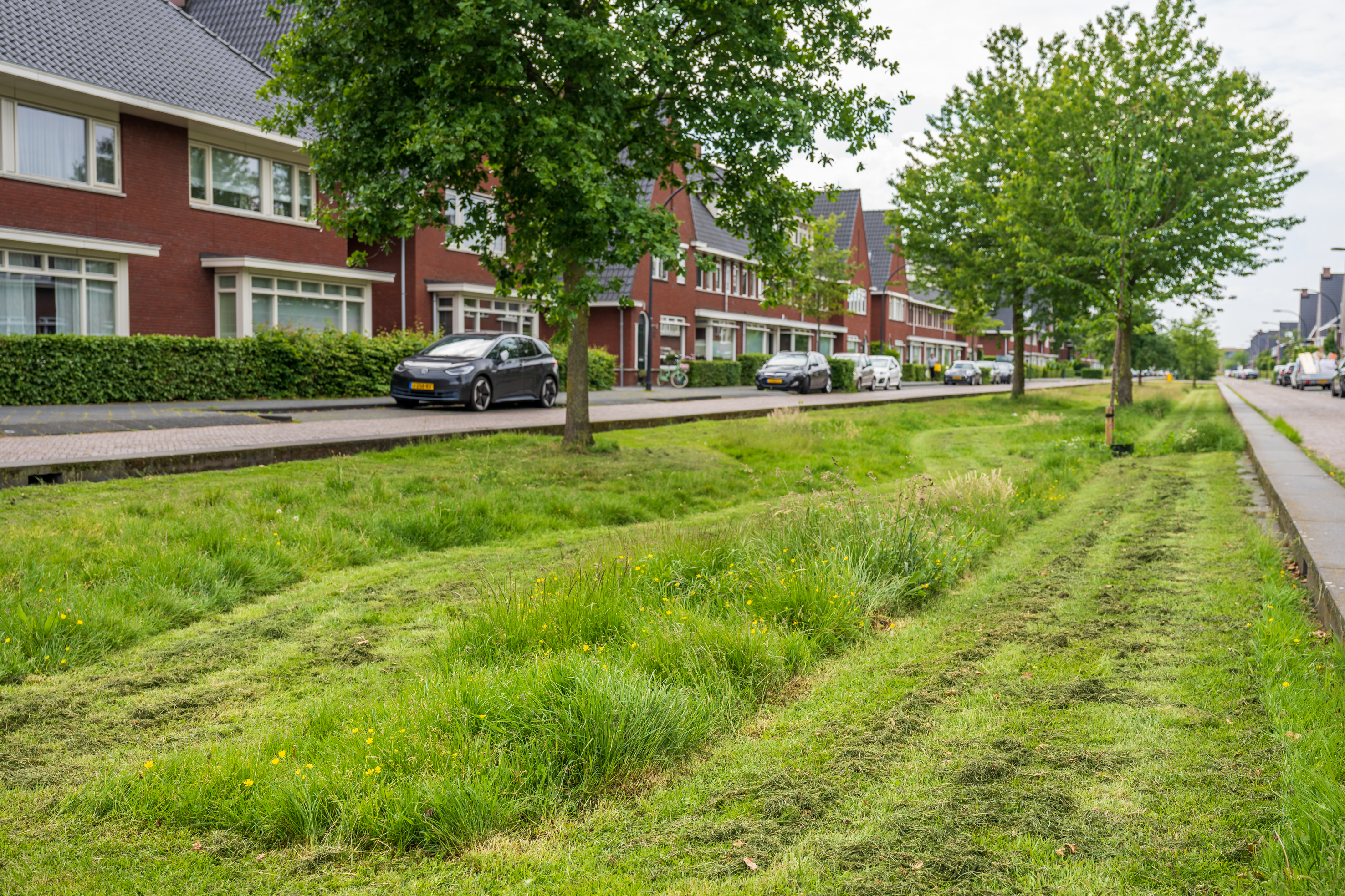 Vebego Groen groenbedrijf 5