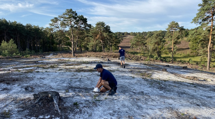 Brunsummer Heide Vebego Groen (5)
