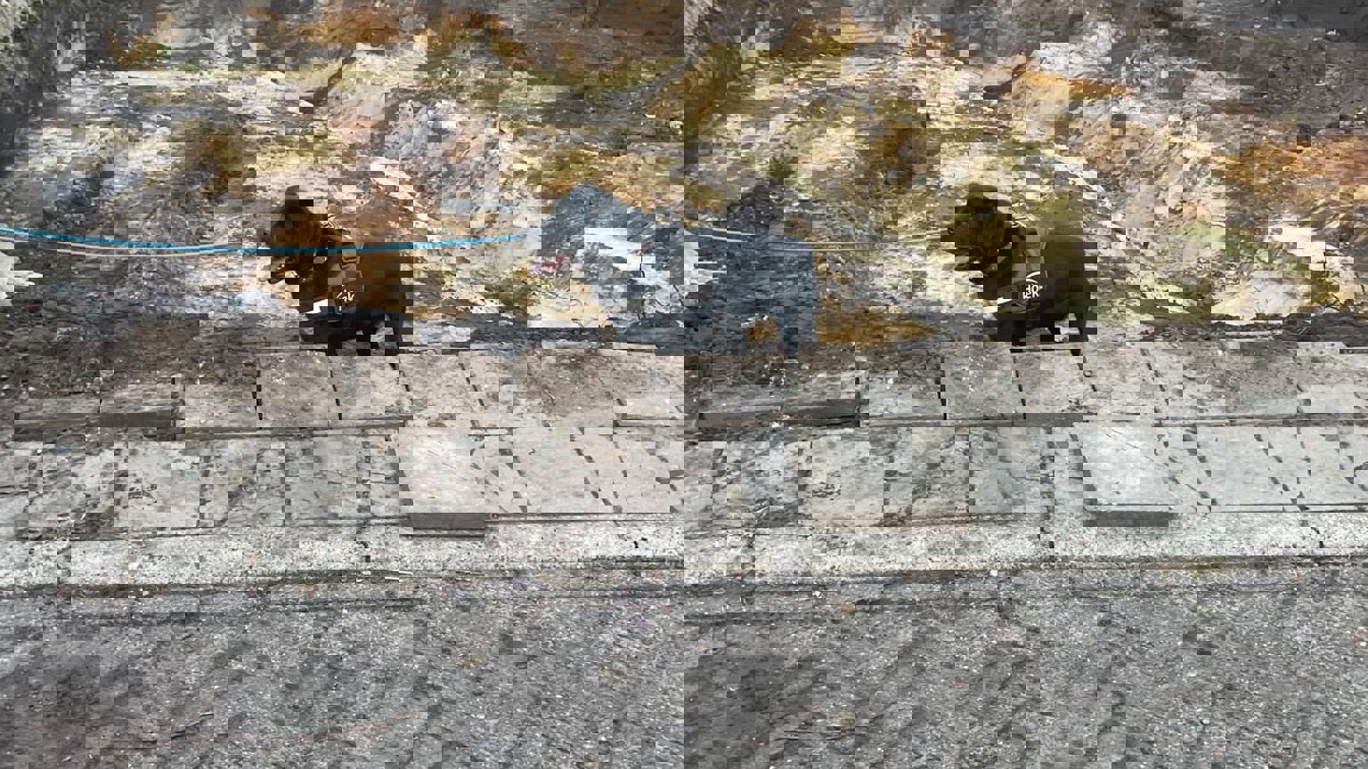 282Fef6b A333 4Af6 92E1 23C6518e07ea