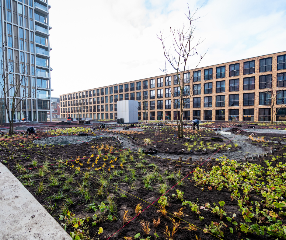 Aanplant Meelfabriek