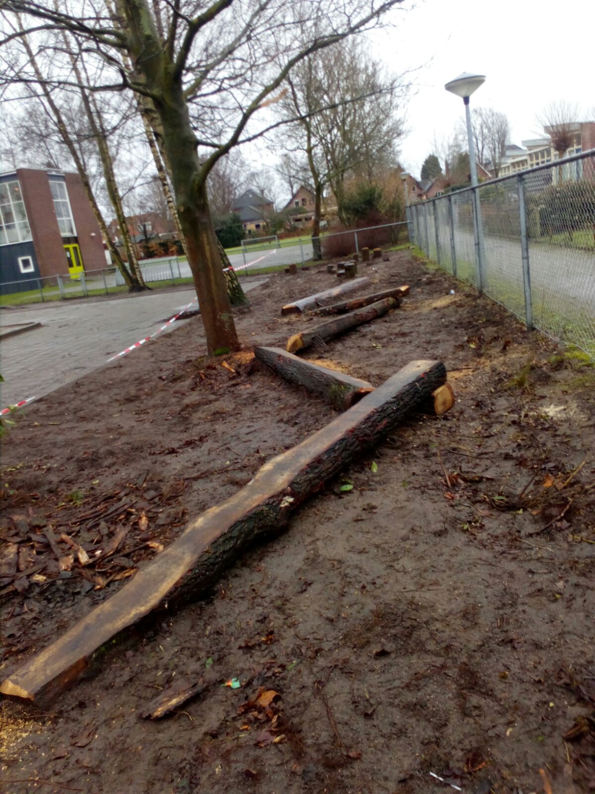 Hacrongroen Natuurlijk Spelen Obs Stegeman (4)