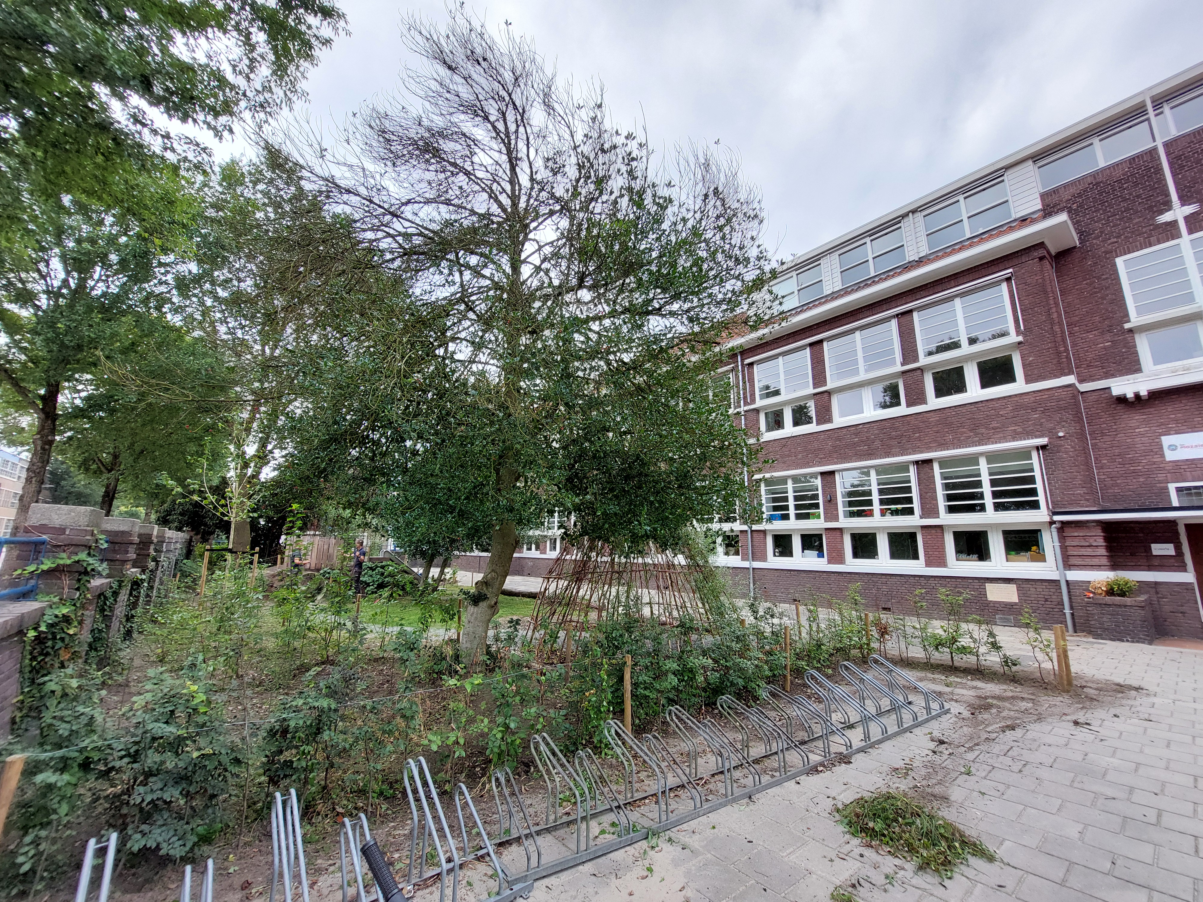 Vebego Groen Groene Speelpleinen Het Mozaiek Zwolle (4)