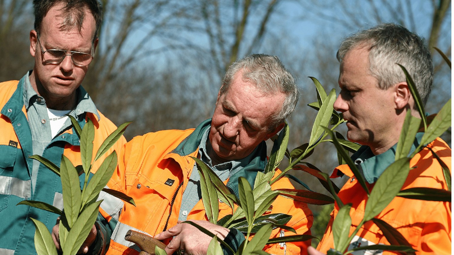 VebegoGroen GoedVoorMensen Arbeidsparticipatie 1