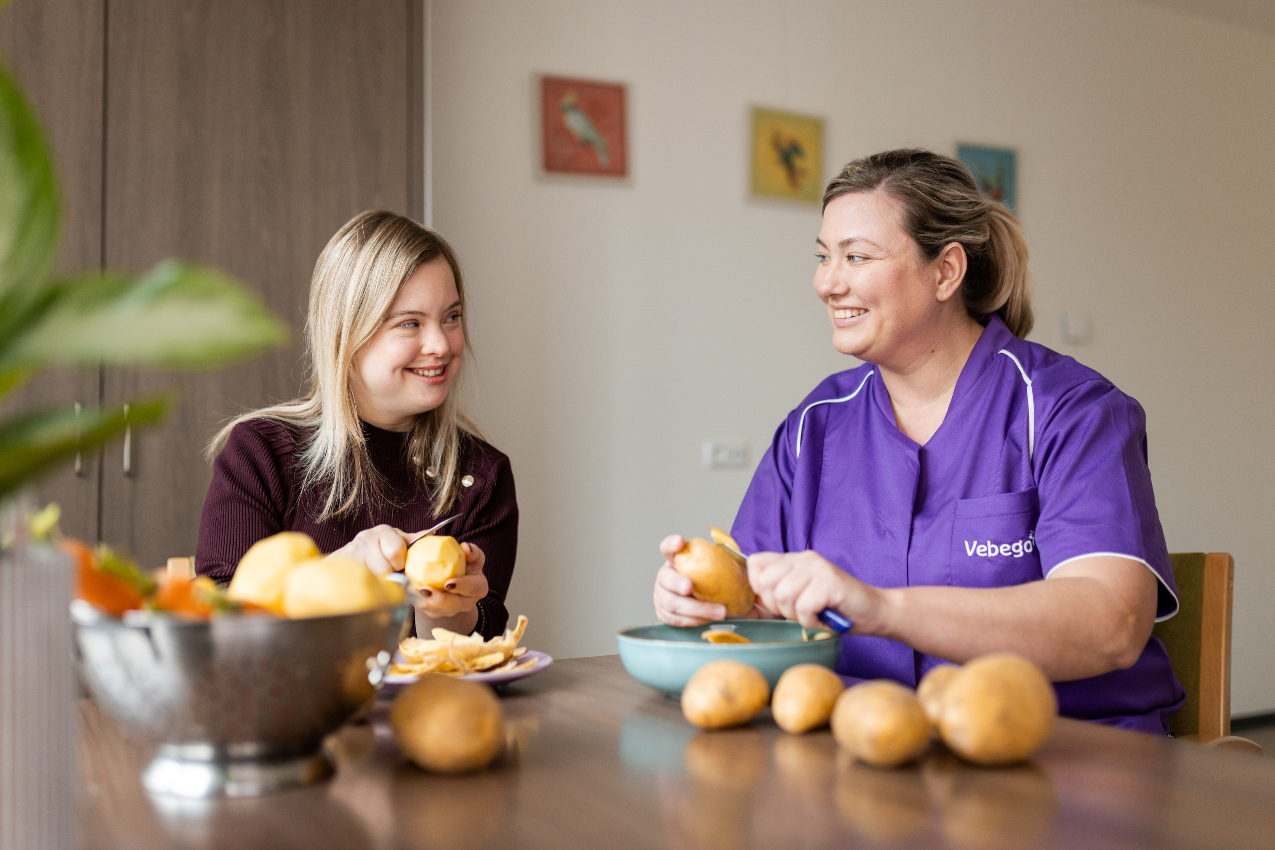 Zorgvoeding Vebego Zorgservice