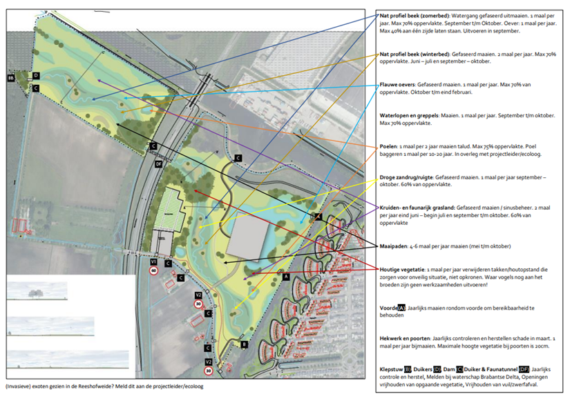 Beheerplan En Ecologisch Beheer Reeshofweide Tilburg