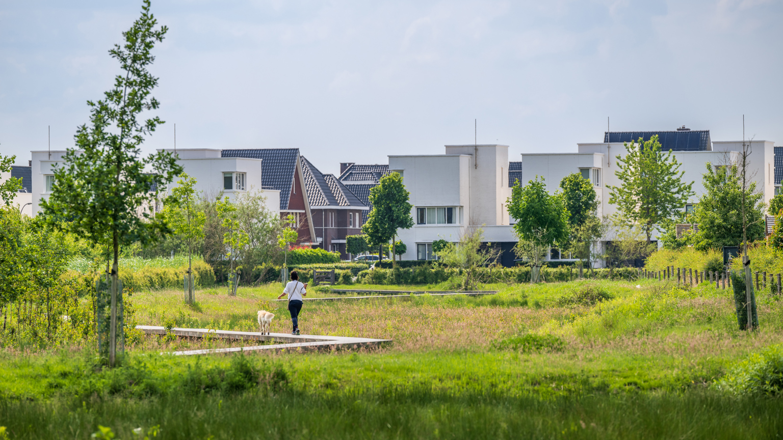 Vebego Groen groenadvies 8
