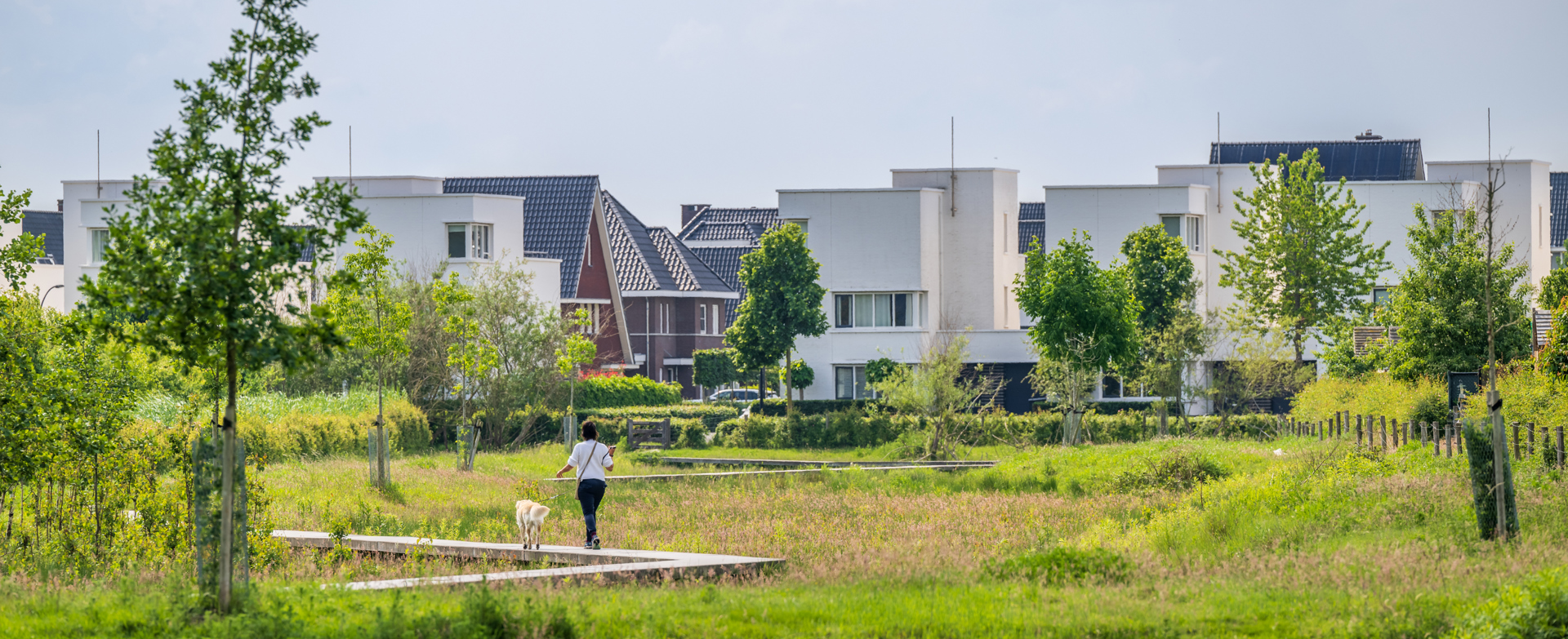 Vebego Groen groenadvies 8