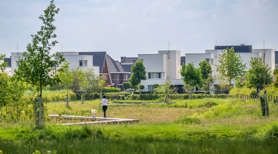 Vebego Groen groenadvies 8