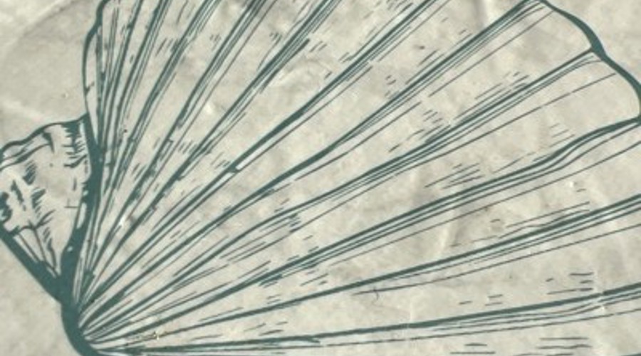 Tante Louise Moermont 6