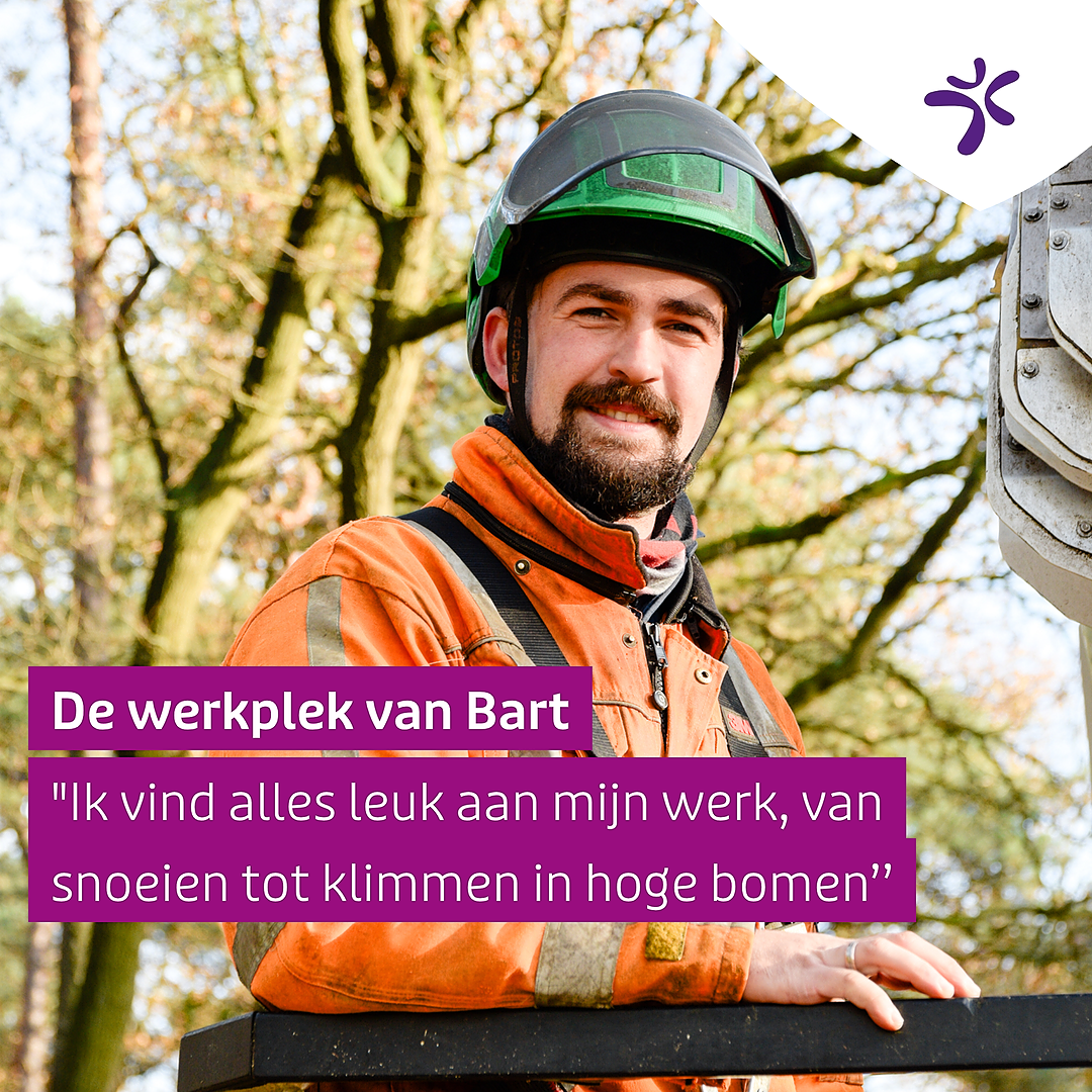 De Werkplek Van Bart