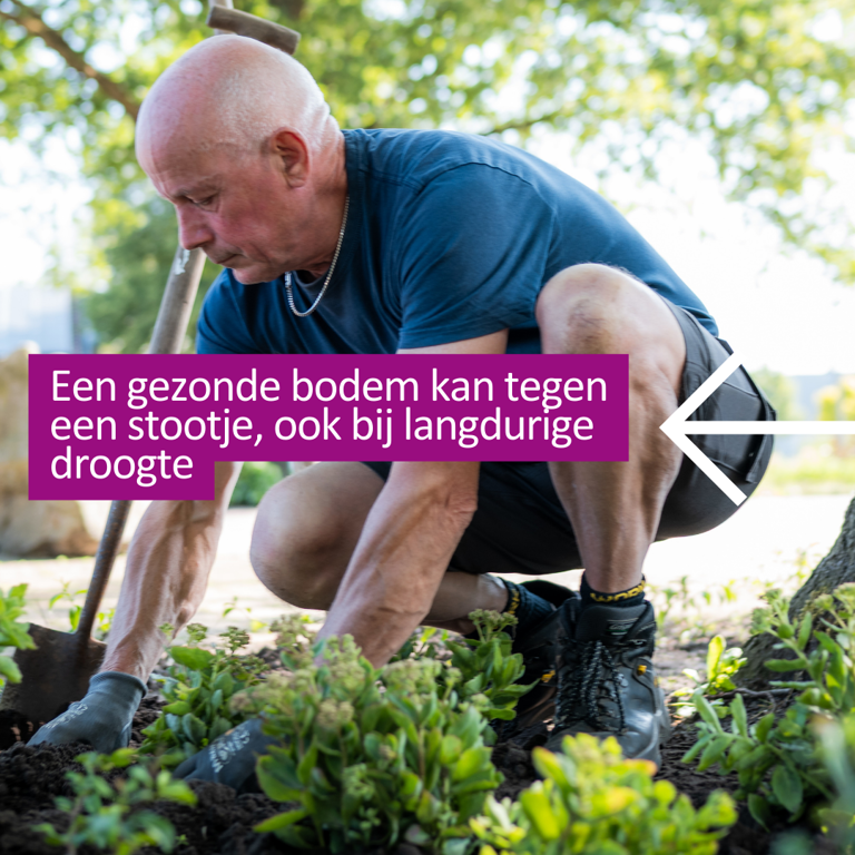 Droogte