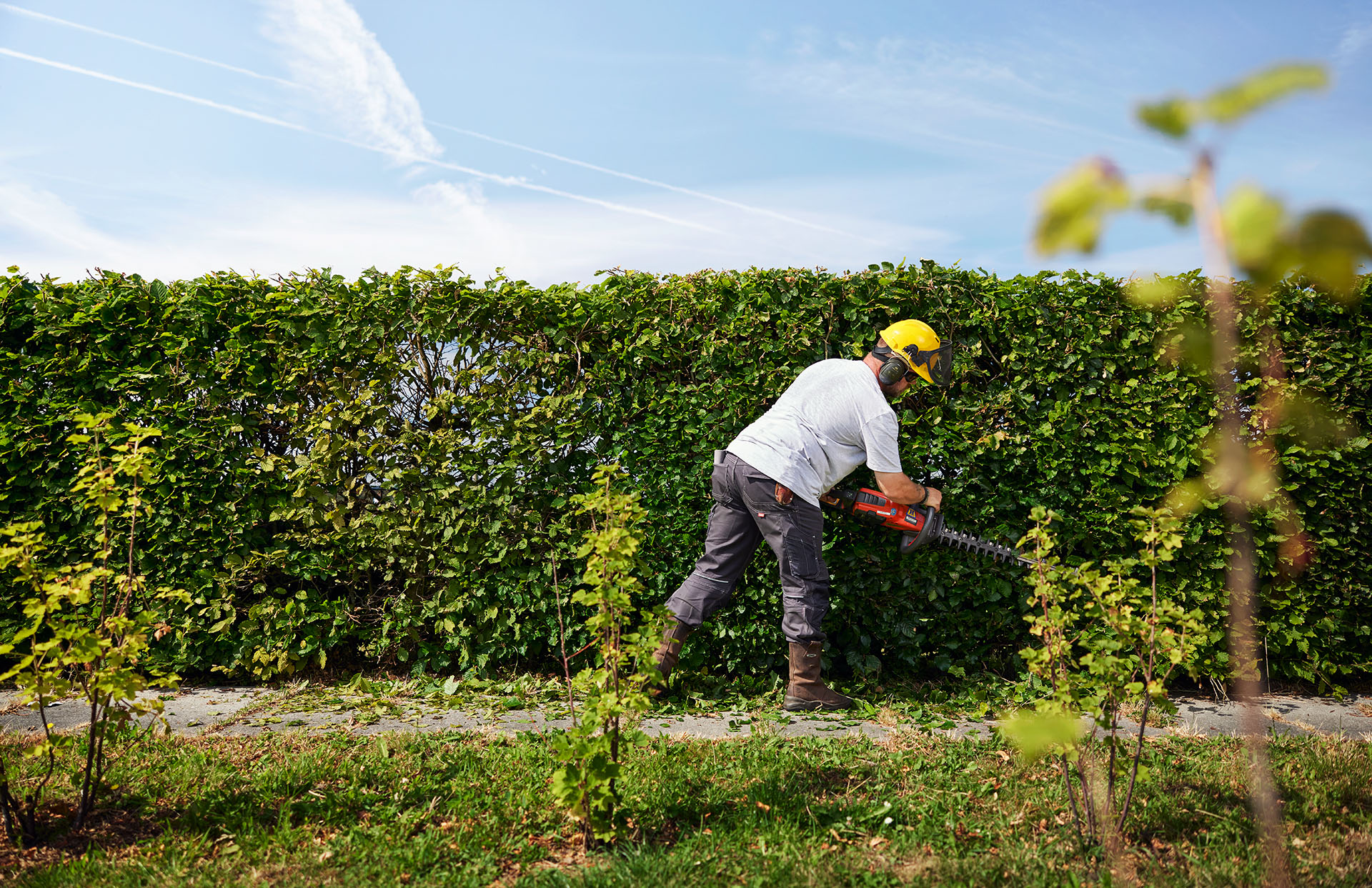 VebegoGroen Groenbeheer Groenonderhoud Tuin