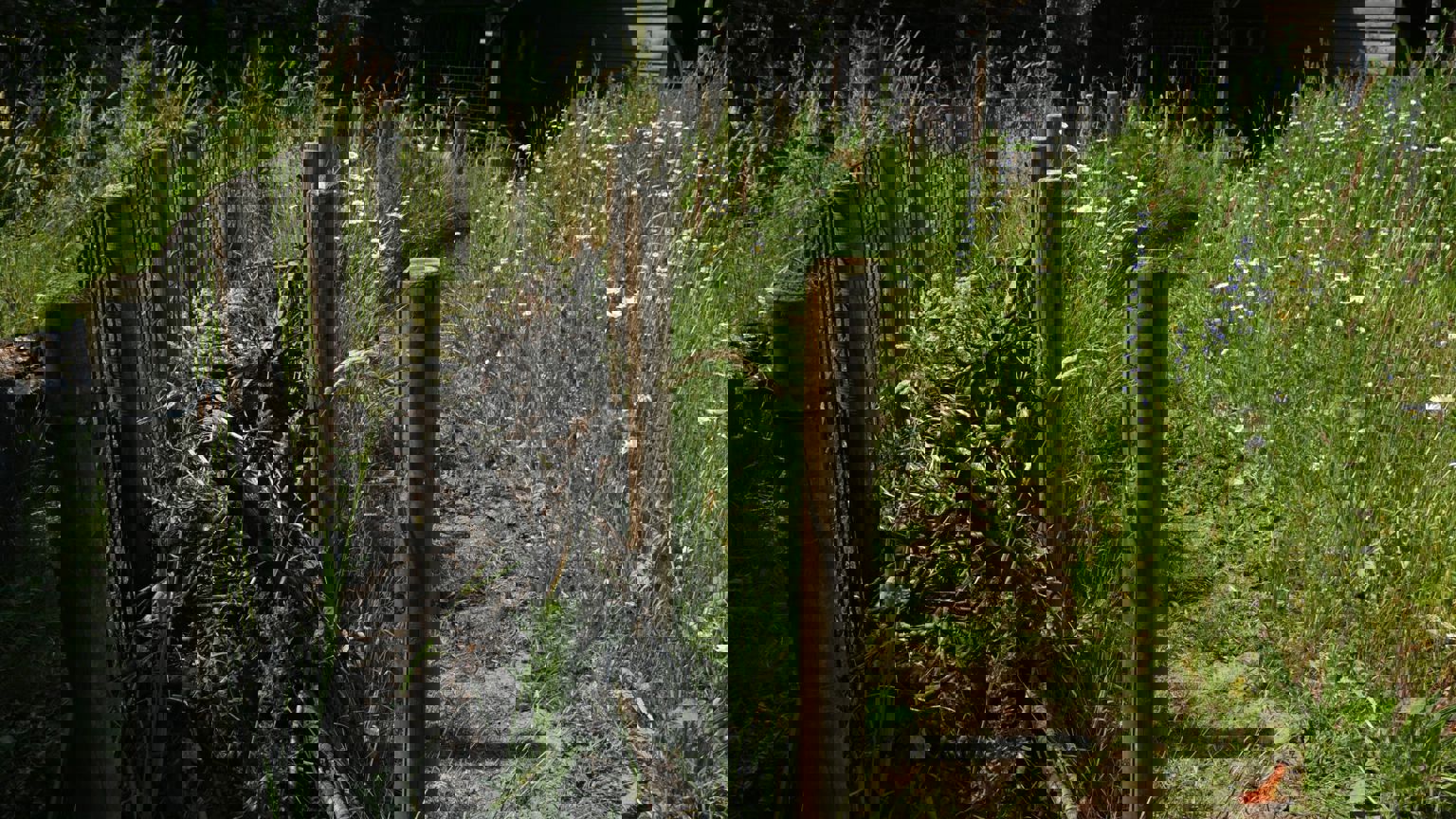 Vebego Groen Groenaanleg Particulier Circulariteit2