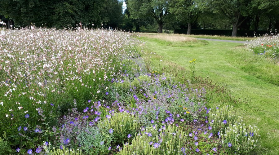 Westgaarde (2)