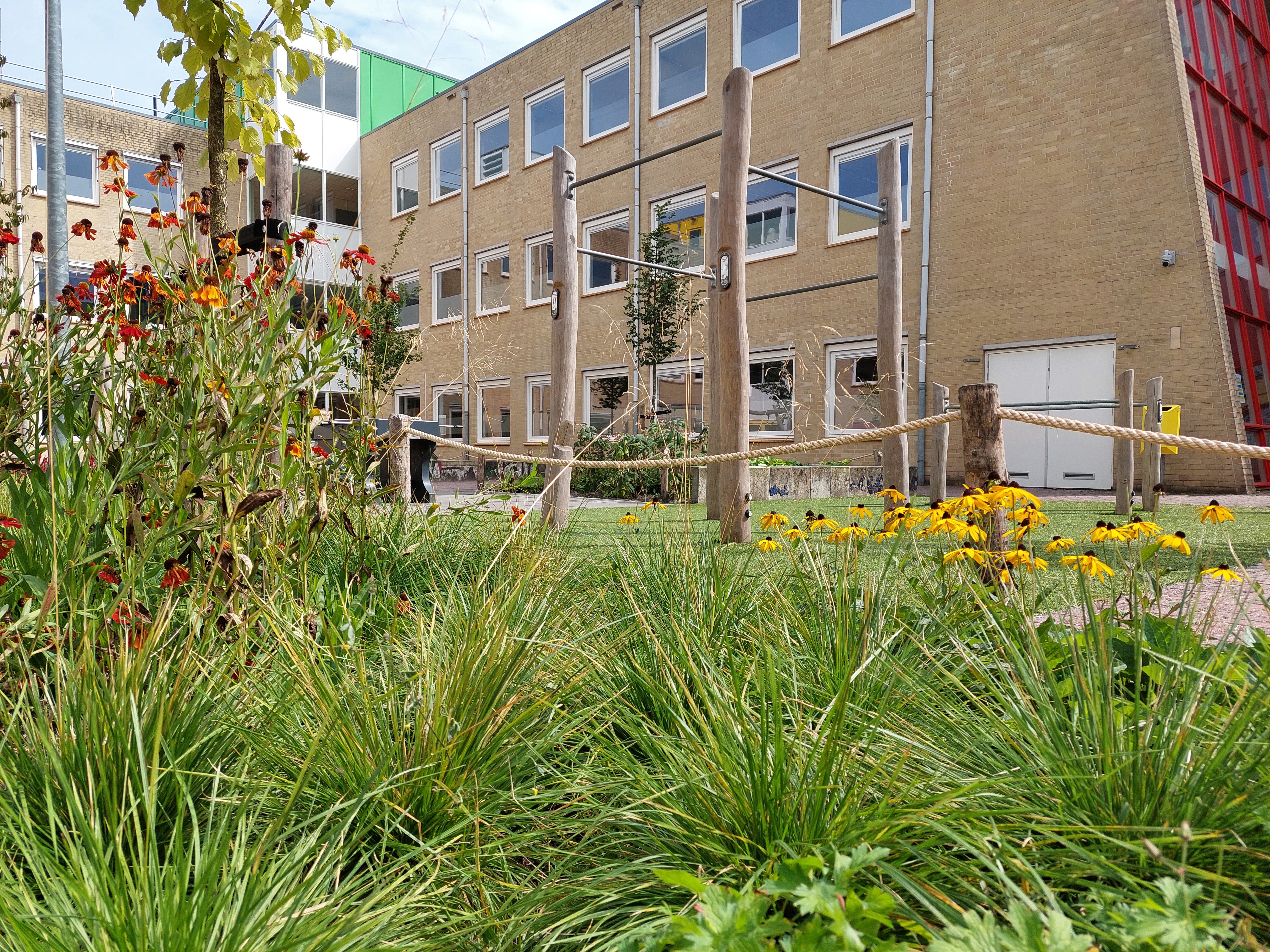Vebego Groen Groene Speelpleinen De Ambelt Hengeveld College Zwolle (3)