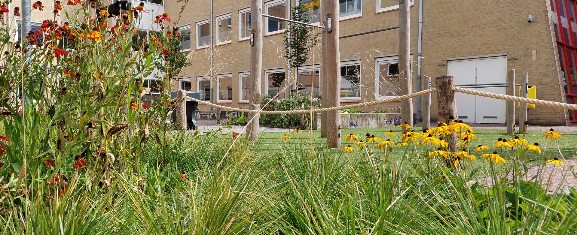 Vebego Groen Groene Speelpleinen De Ambelt Hengeveld College Zwolle (3)