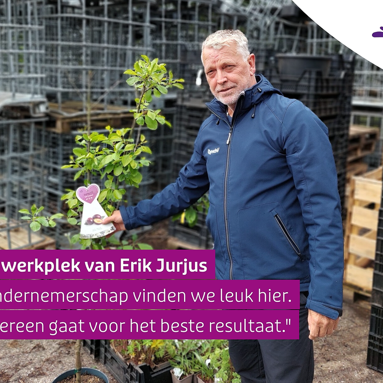 De Werkplek Van Erik Jurjus