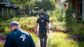 Vebegogroenjuni2025 4855 Compri