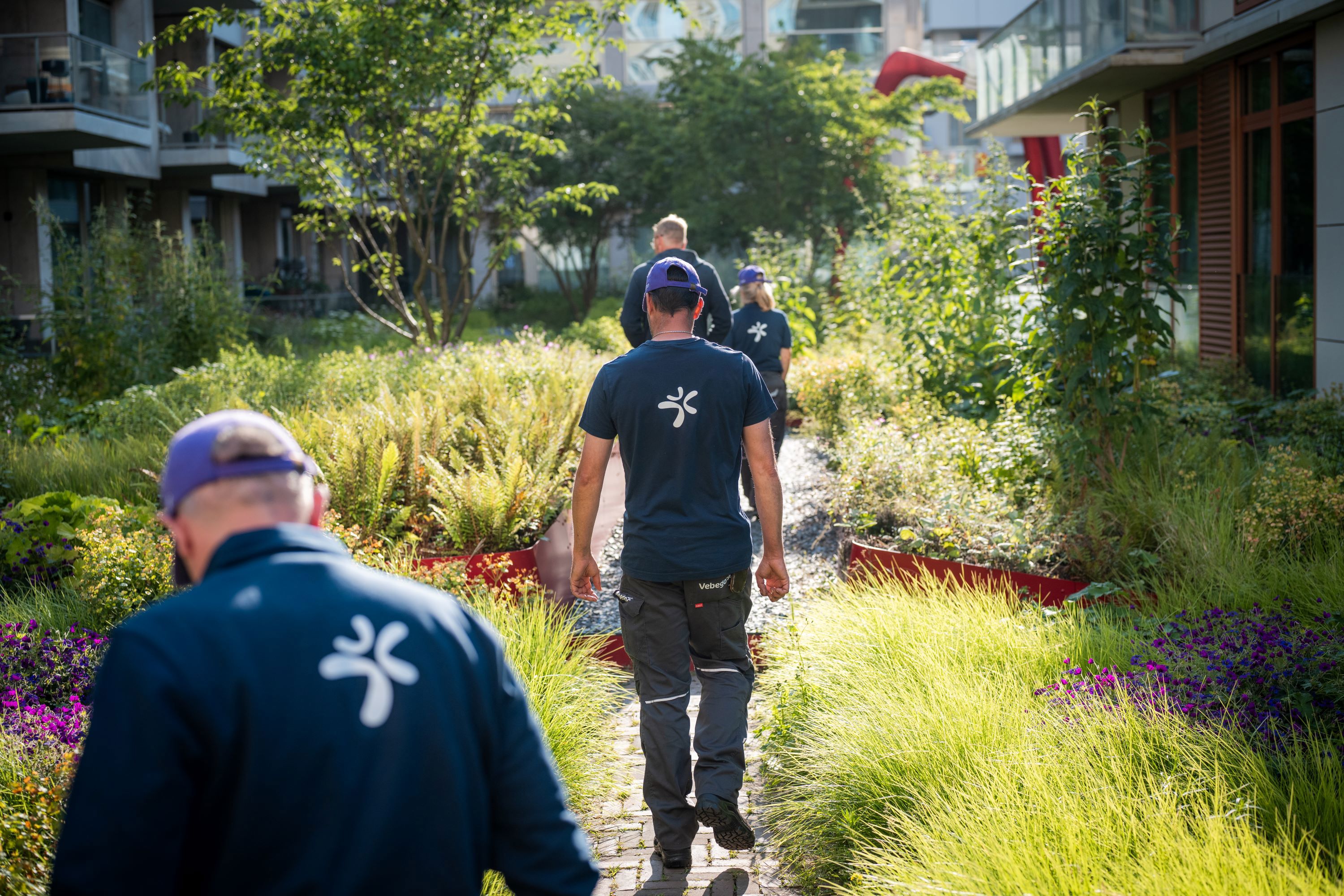 Vebegogroenjuni2025 4855 Compri