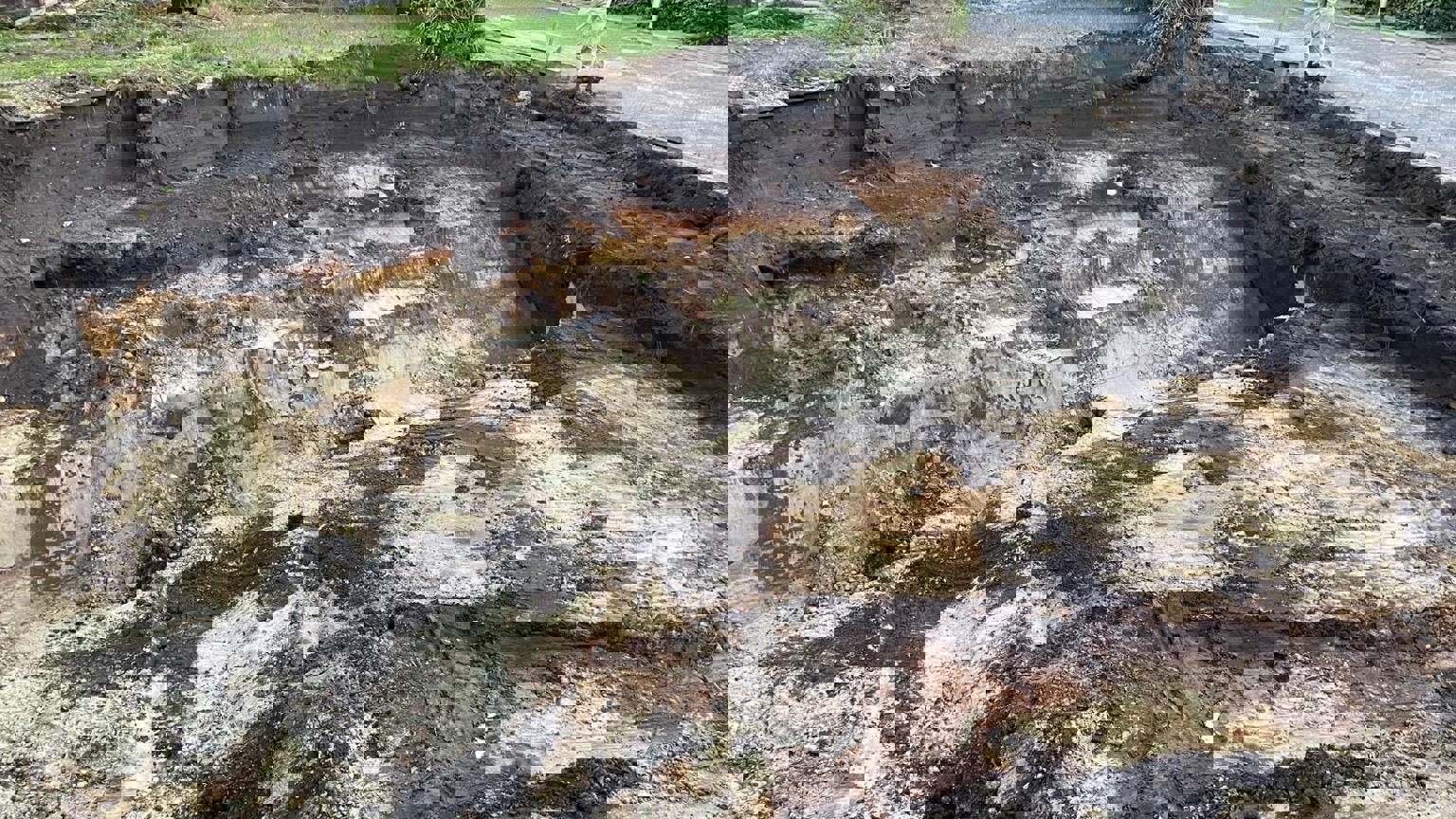 C785bbc9 Ca7e 4Aee 9Ff6 1F6d545e2ba0