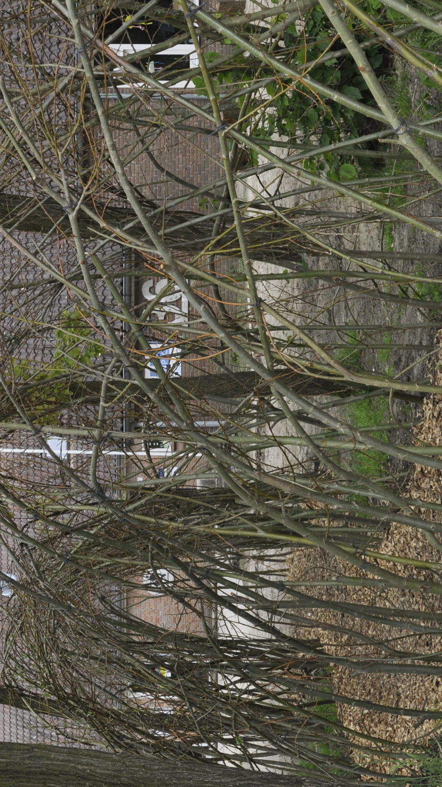 Axent Groen Groene Schoolpleinen Elserike Markelo (21)